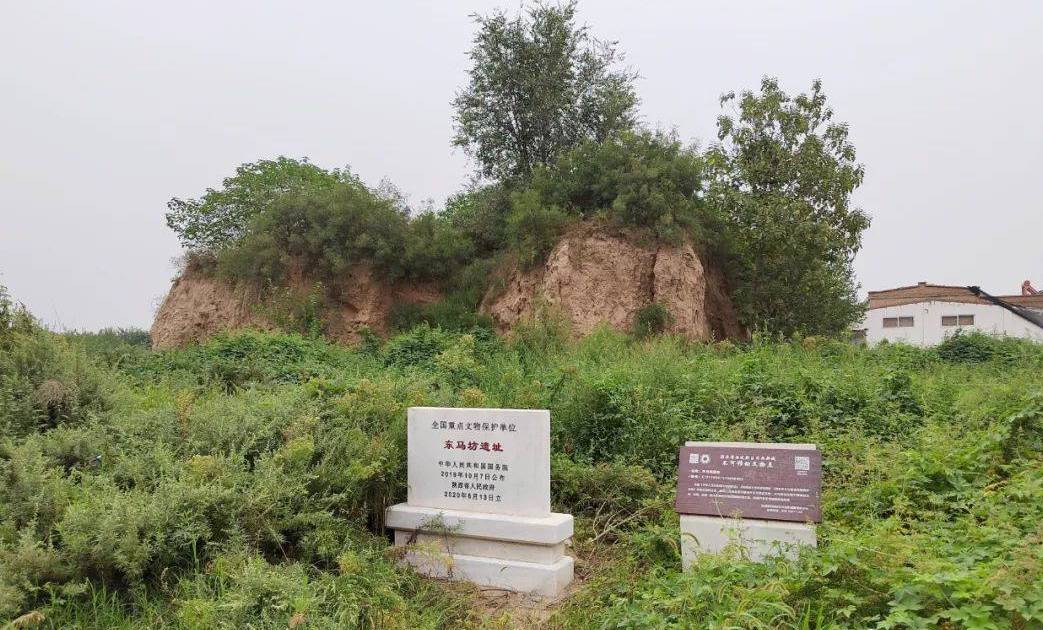  p data-id="gnb91zhzhx">东马坊遗址,位于陕西省西安市 a target="