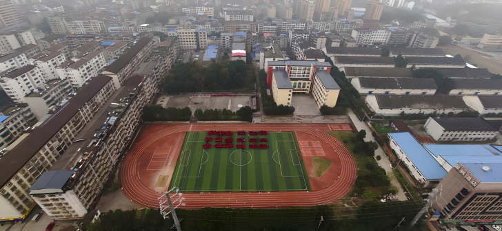 湖北省鄂南高级中学图片