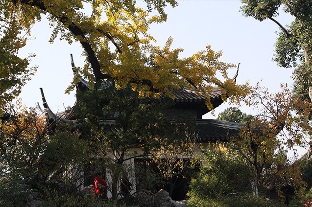  p>问梅阁位于江苏省苏州市平江区狮子林景区内,阁内窗纹,家具装饰