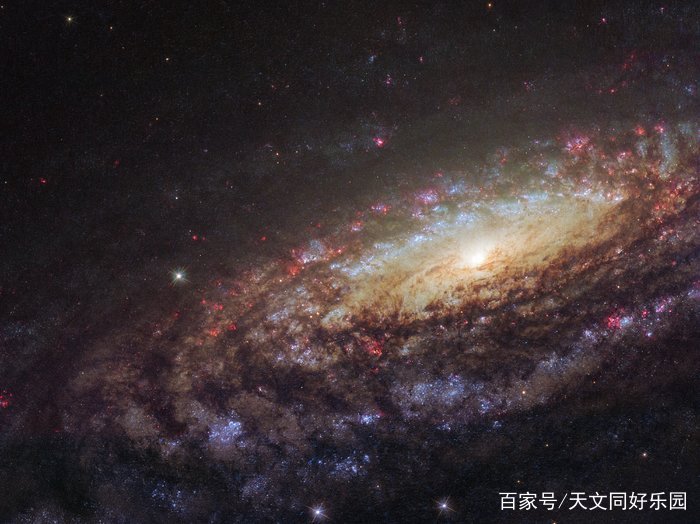 阐释宇宙之人、真正意义上的科普第一人——怀念卡尔·萨根_百科TA说