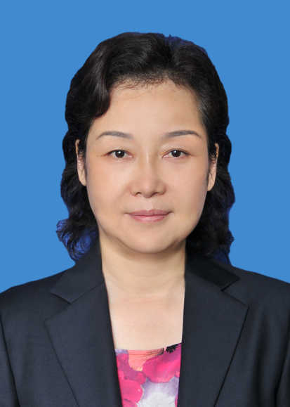 陈志红 seo老师 全网资源