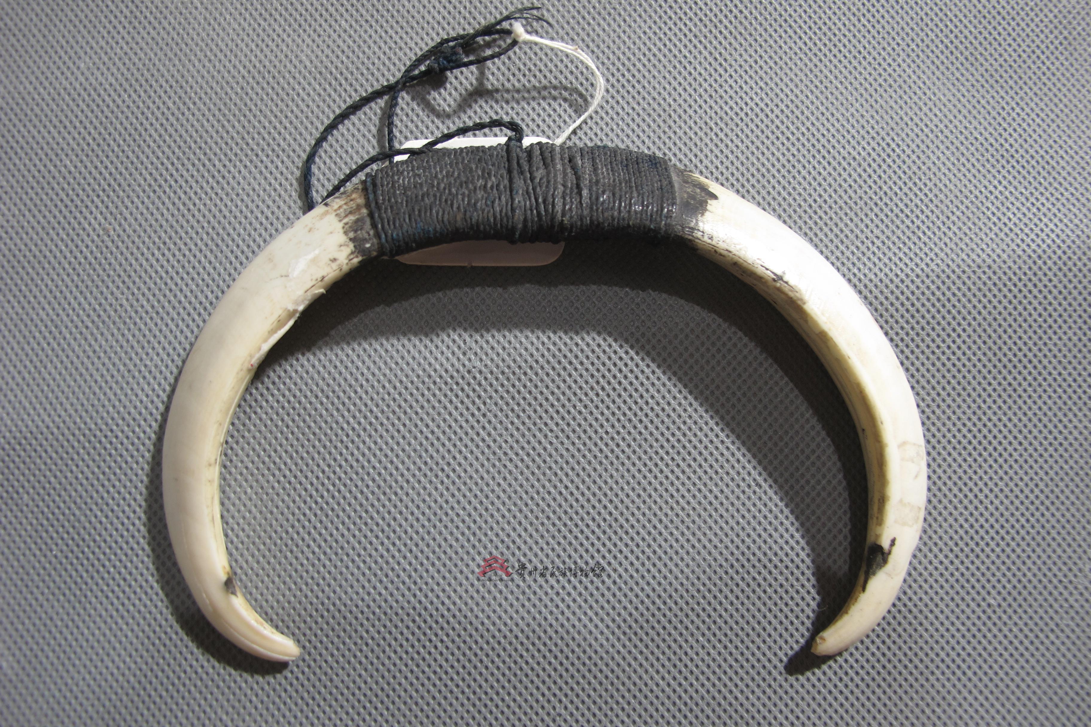  p data-id="t9yewqnxwiyu">野猪牙是一件由贵