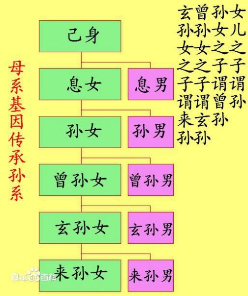 中国人亲戚关系图表_百度百科