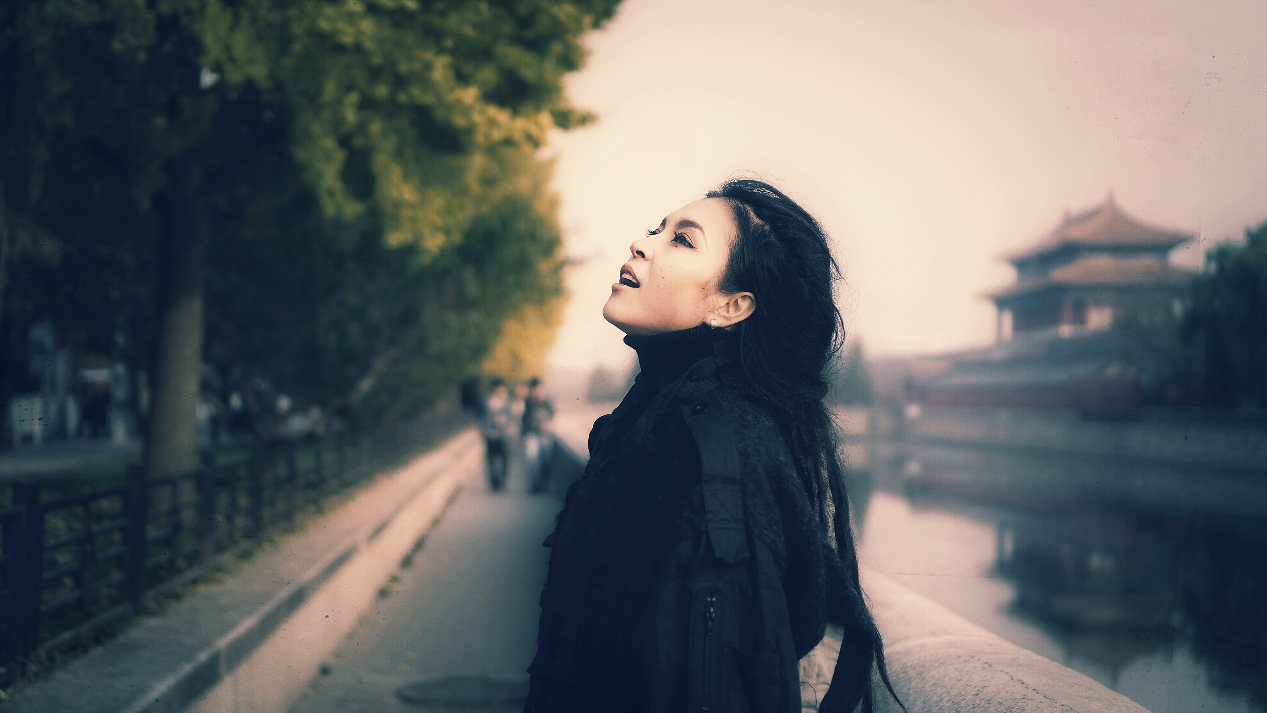 中国好声音第二季 毕夏