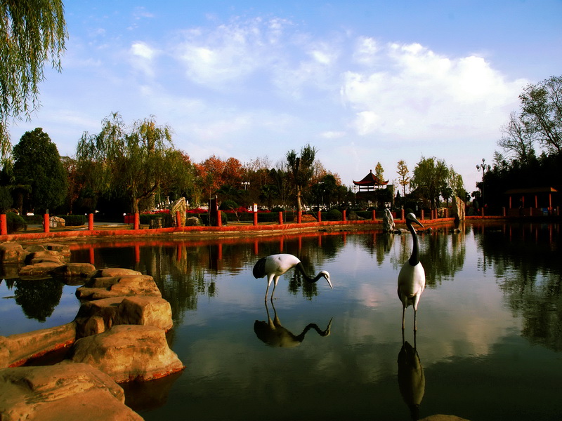 data-ctrid="sgvlikvj5evl">八里河风景区,位于安徽省阜阳市东南的 