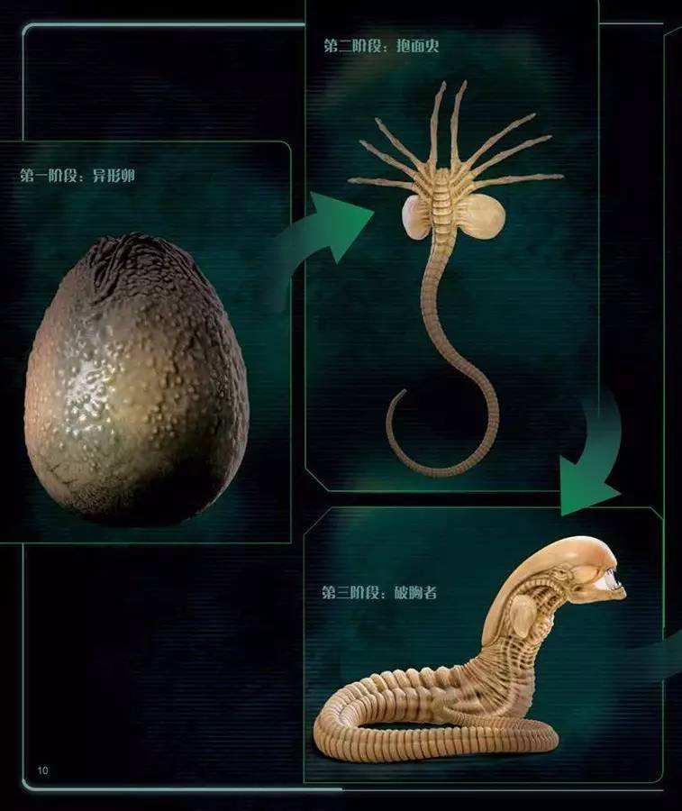 异形:韦兰-汤谷公司报告