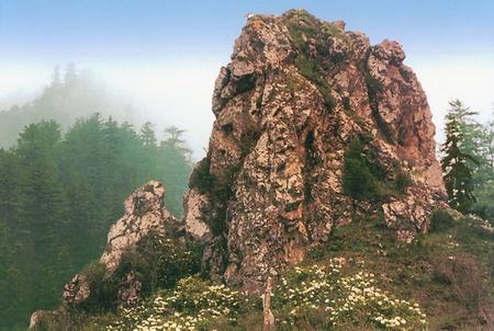 甘肃连城国家级自然保护区