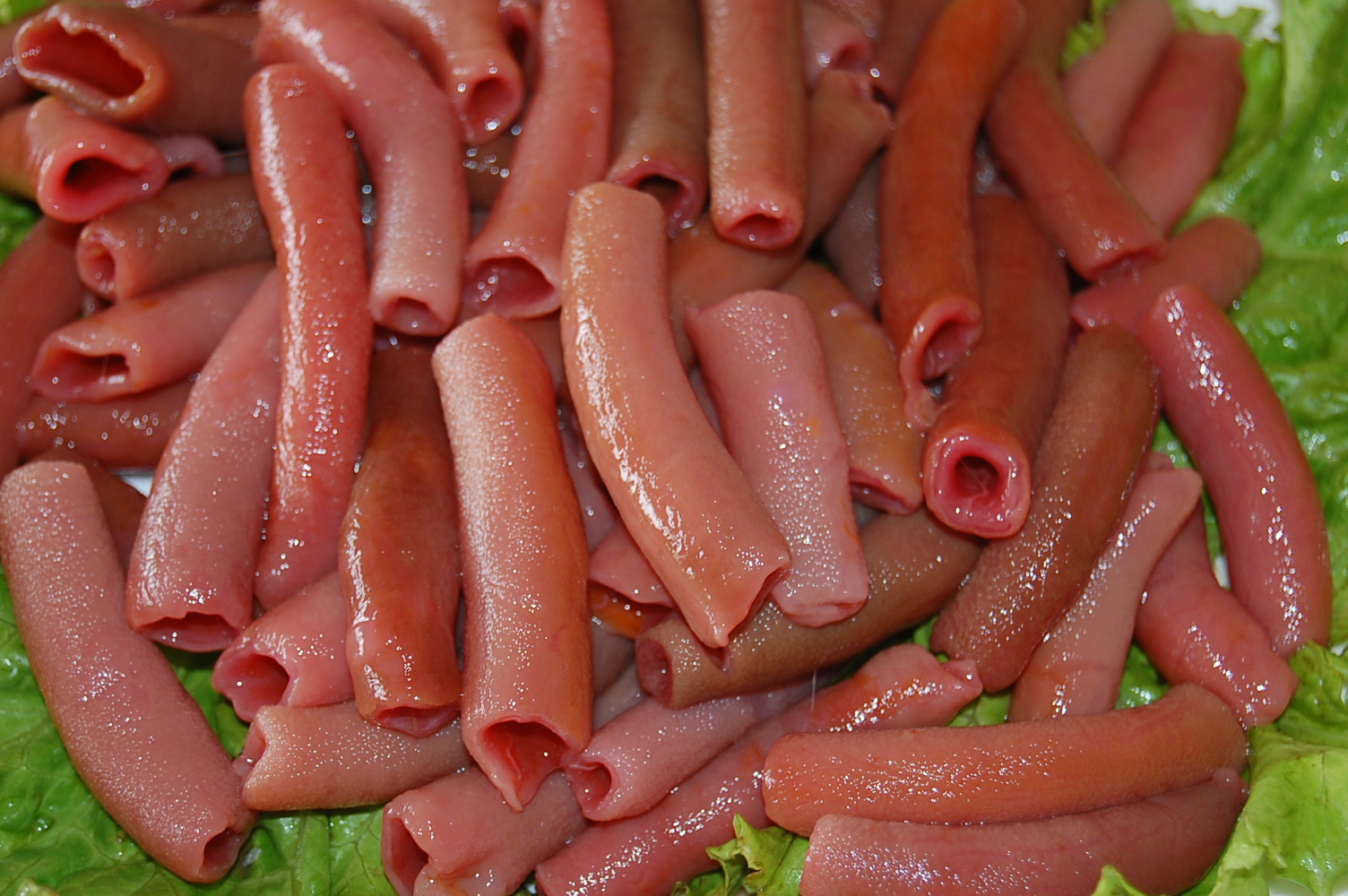  p>单环刺螠(urechis unicinctus ),俗名: b> a target="_blank" href