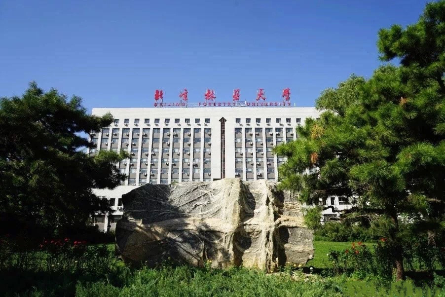 北京林业大学工学院