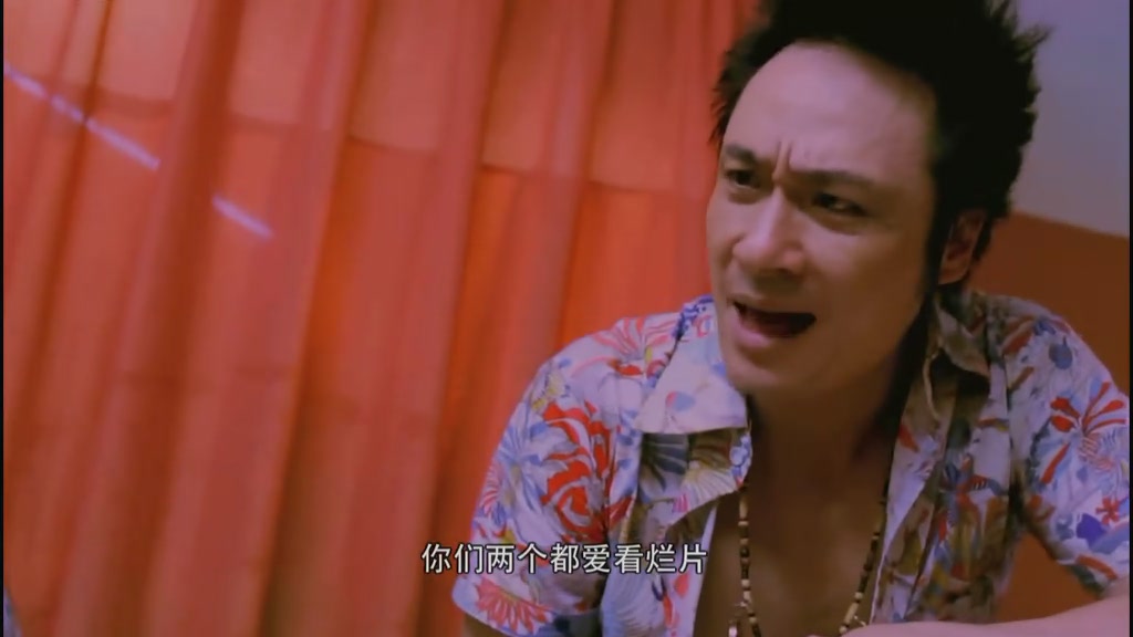疯狂的蠢贼