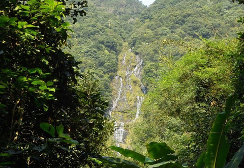 罗定龙湾生态旅游区