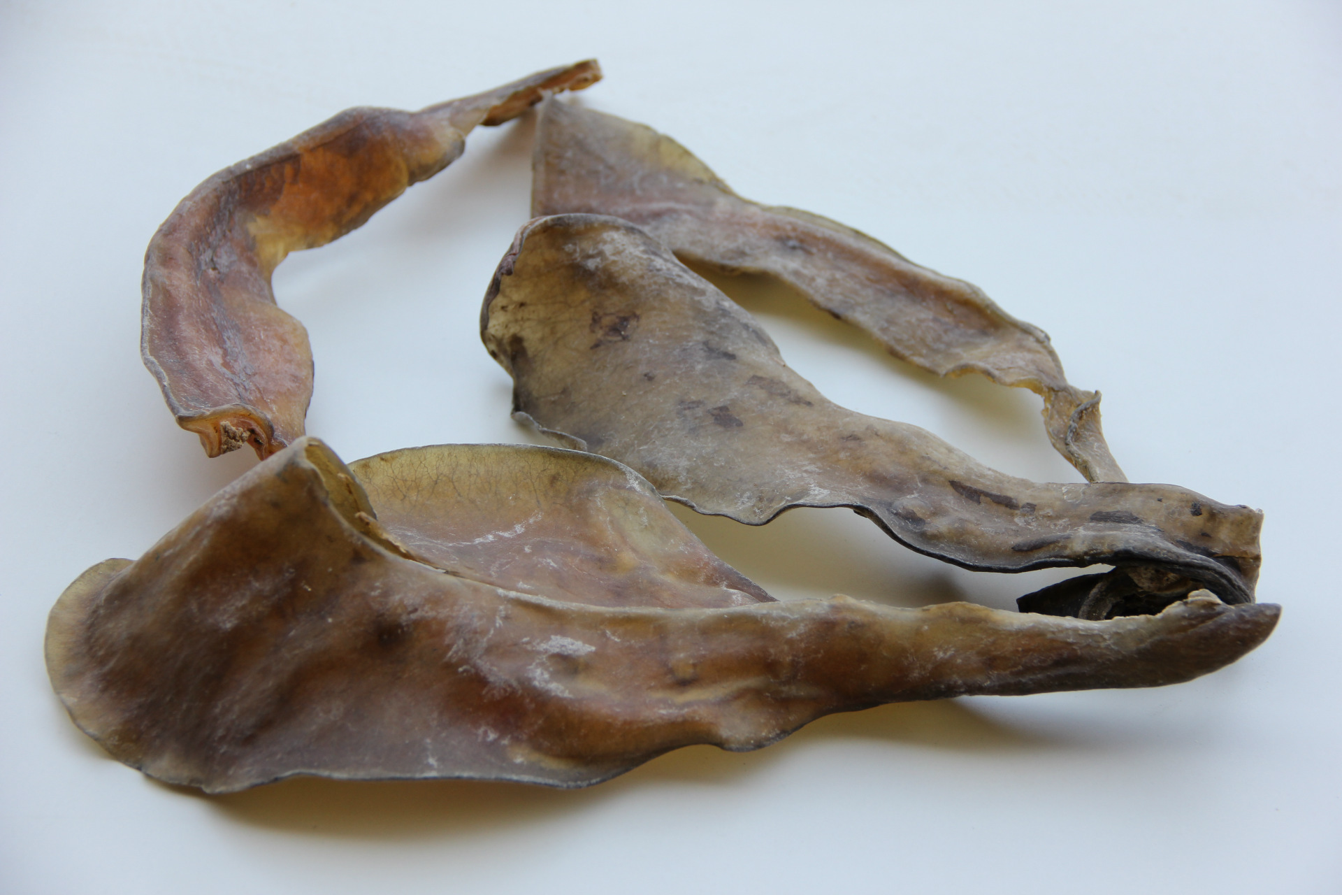  p> a target="_blank" href="/item/甲鱼/1658726" data-lemmaid="