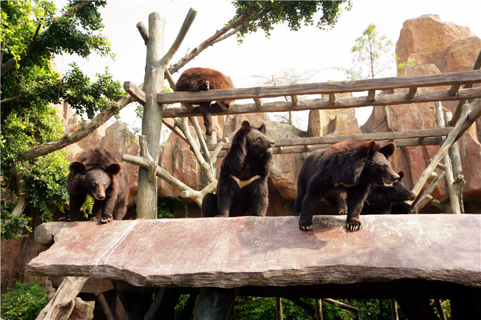 长鹿农庄"),2014年11月成为国家5a级景区,是目前顺德区内唯一一个国家