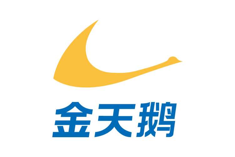 长沙金天鹅科技有限公司