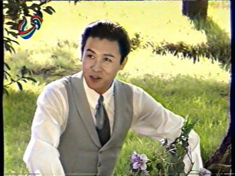 紫藤花园