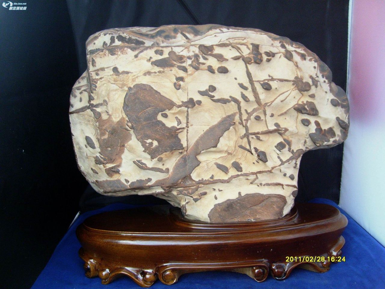  p data-id="gnx4gzx39a">天峨石,原称 a target="_blank" href="