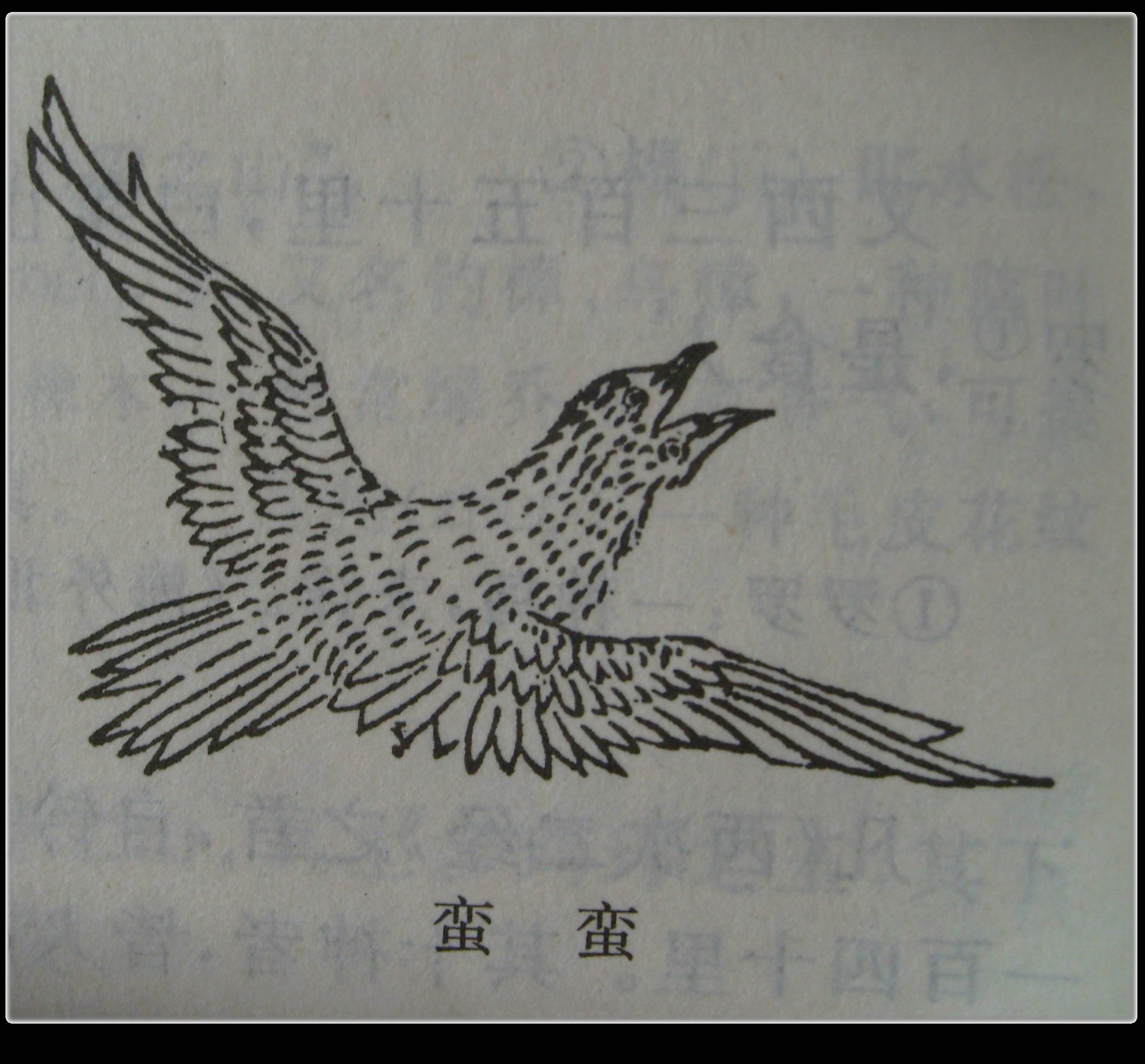 data-id="go0tou81v7">蛮蛮是中国古代传说中的鸟名,记载于《山海经》