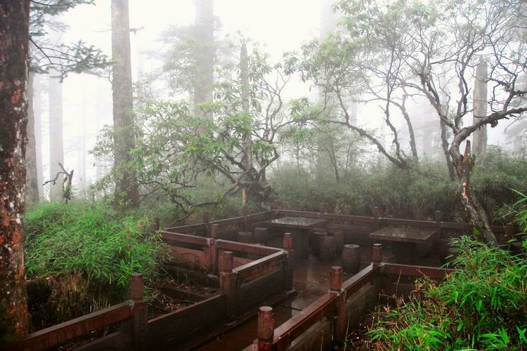 槎山国家森林公园