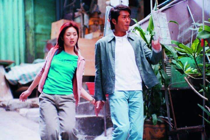 dry wood fierce fire