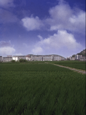  p>南塘镇为一地名,在我国 a href="#" data-lemmaid="190275">浙江省