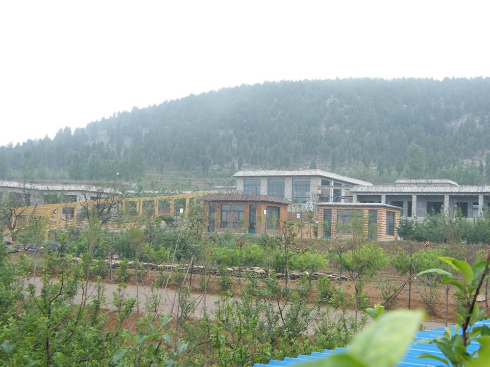 肥城市桃园镇