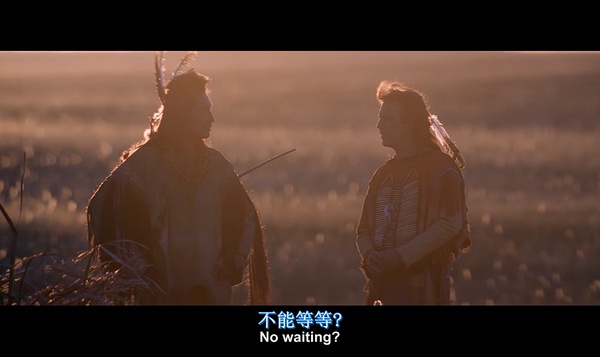 与狼共舞danceswithwolves(1990)