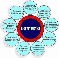 生物系统学