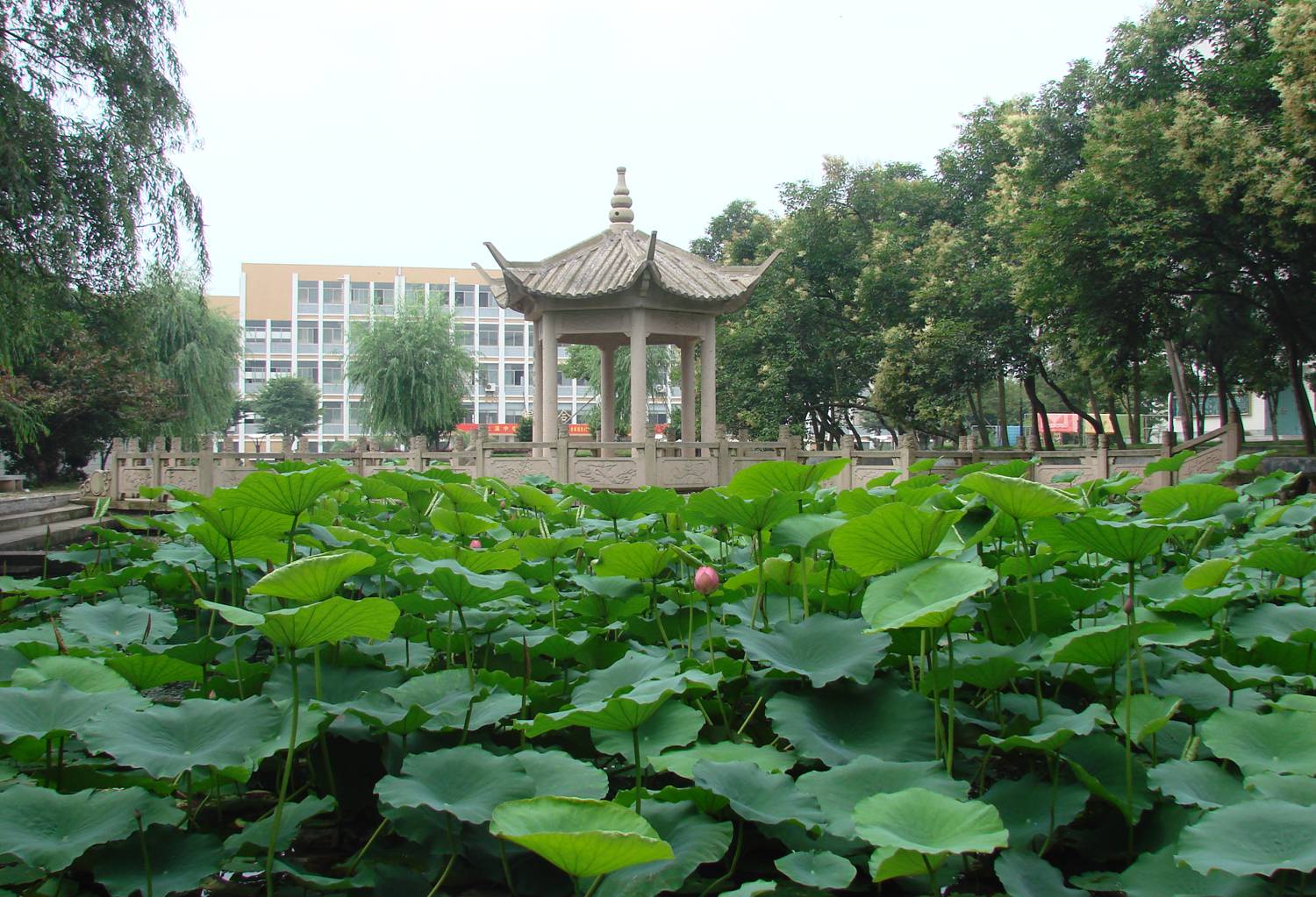 义乌市上溪中学