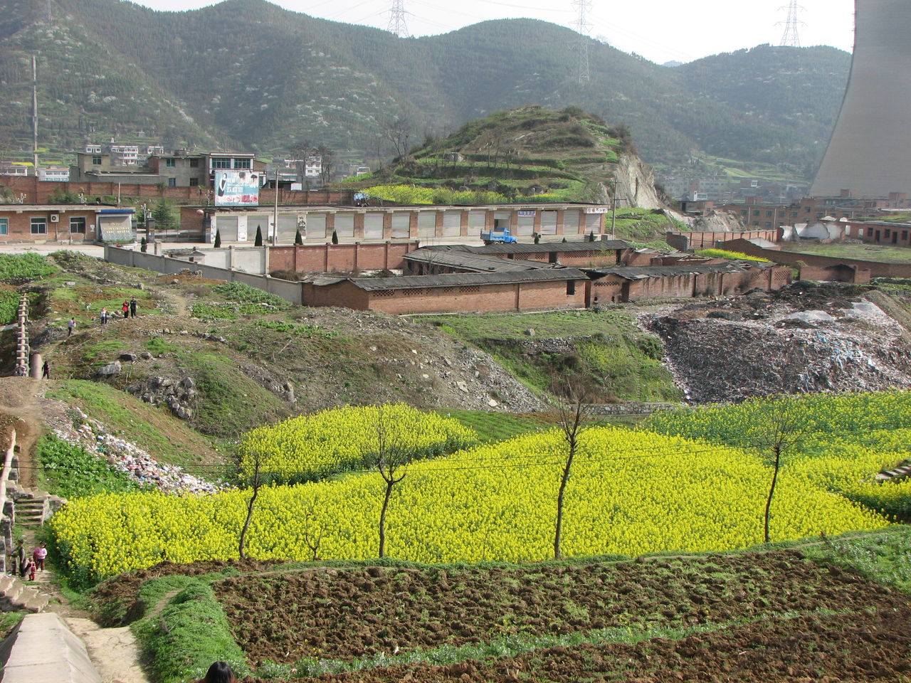 鸭溪到遵义多少钱,鸭溪到遵义多少钱一张票