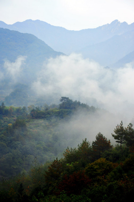 雾（一种自然天气现象）_百度百科