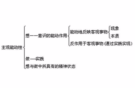  p>主观能动性是一个哲学概念,亦称"自觉能动性",它指人的主观意识和