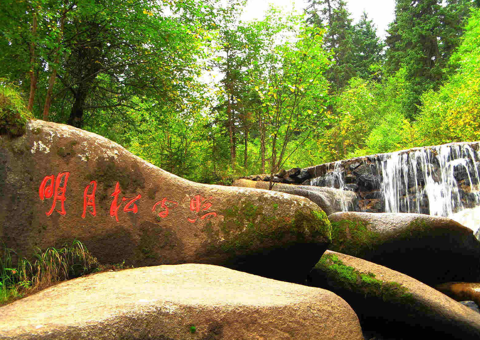 莲花山国家森林公园