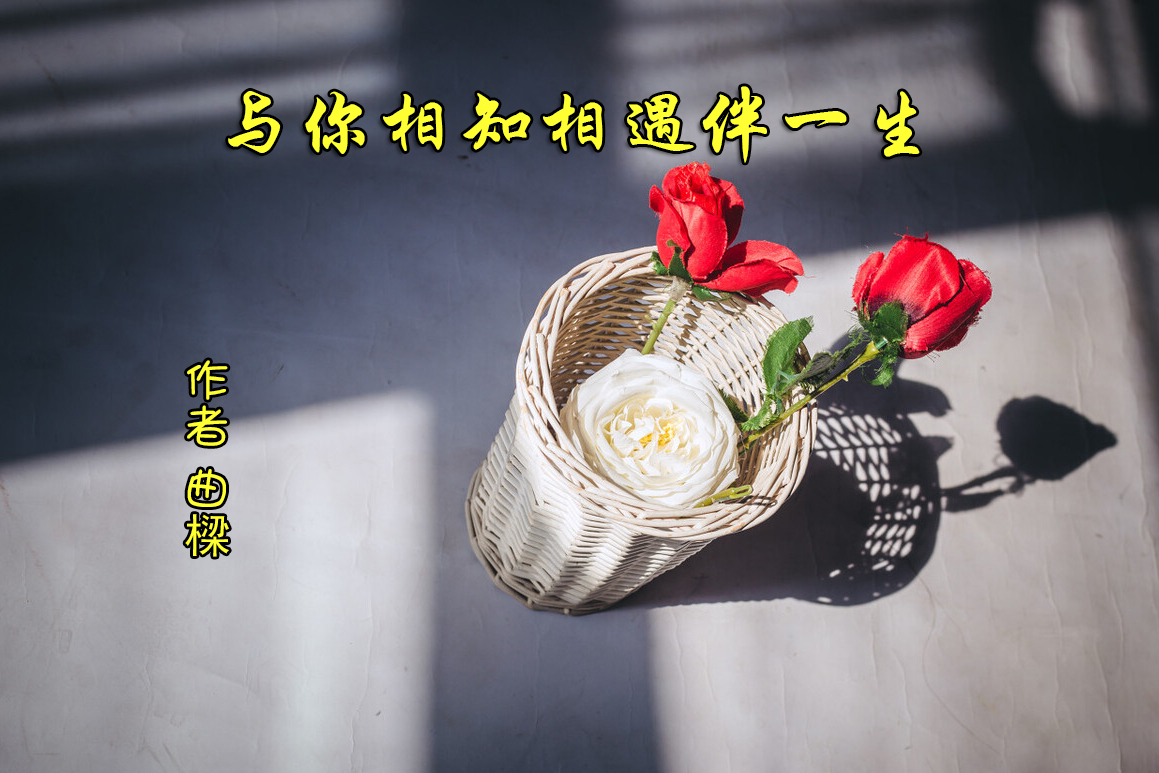 与你相遇相知相伴一生