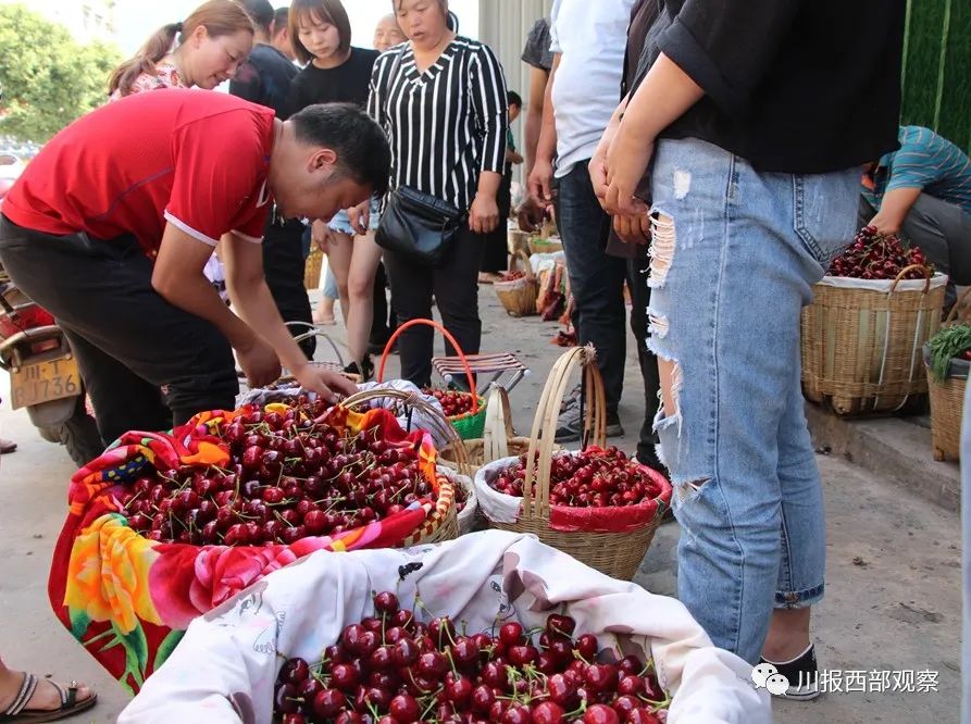 组图 汉源甜樱桃上市季 九襄水果市场车水马龙 百科ta说