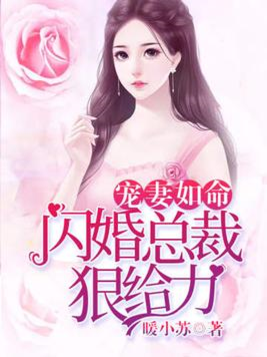 宠妻如命:闪婚总裁狠给力