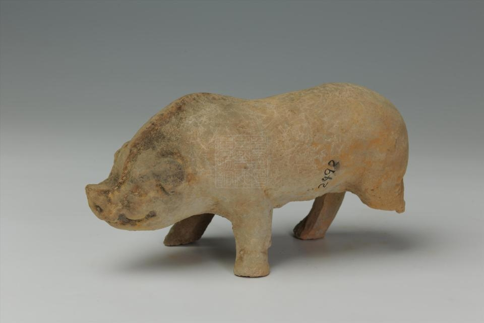东汉灰陶猪