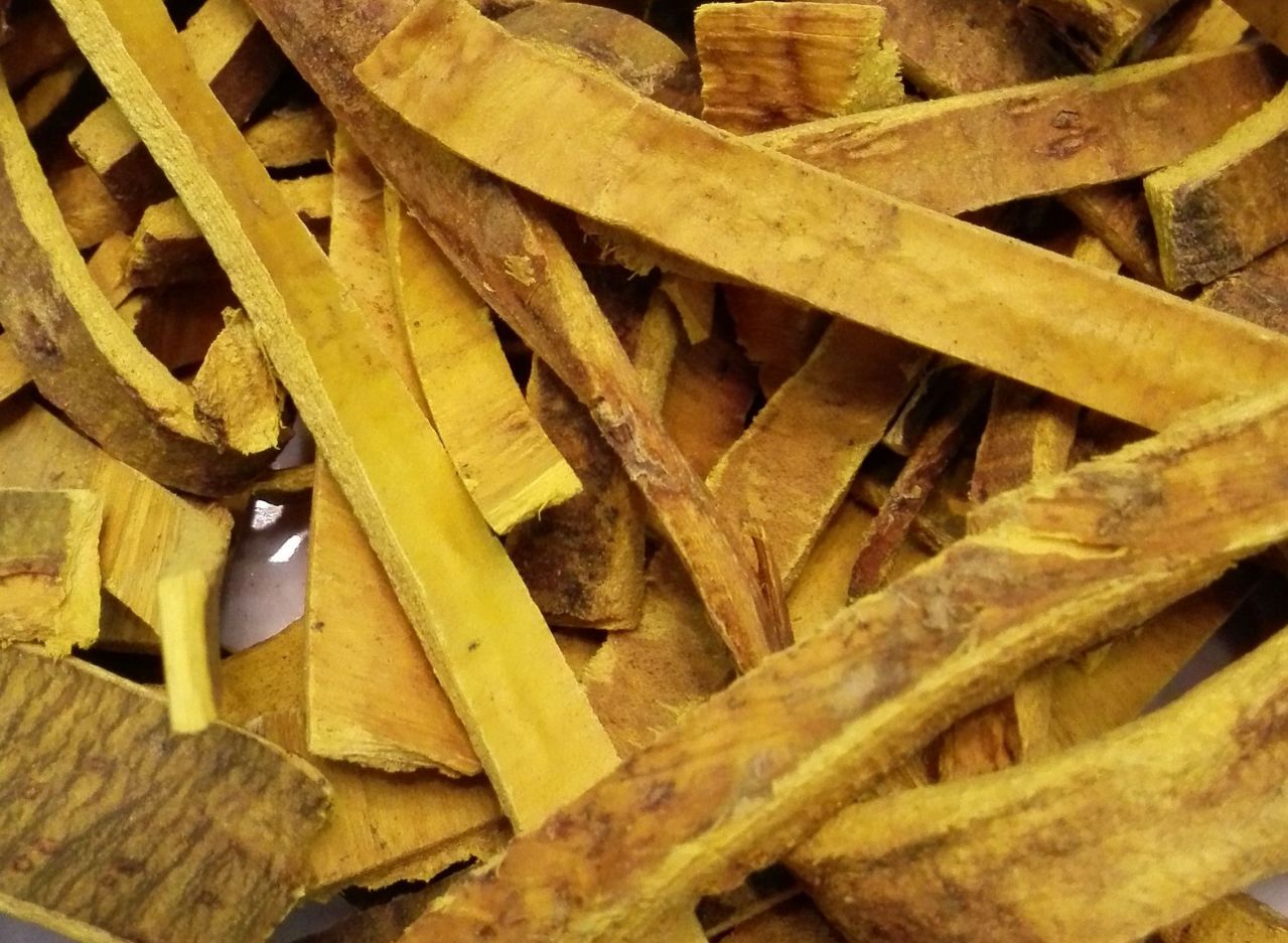川黄檗_百度百科