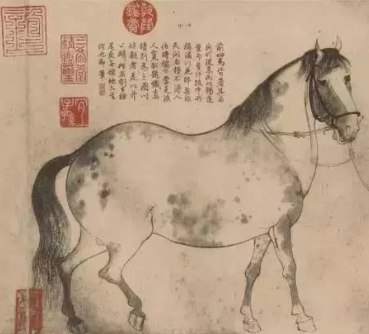 在中国谁是画马界的标杆人物？_百科TA说