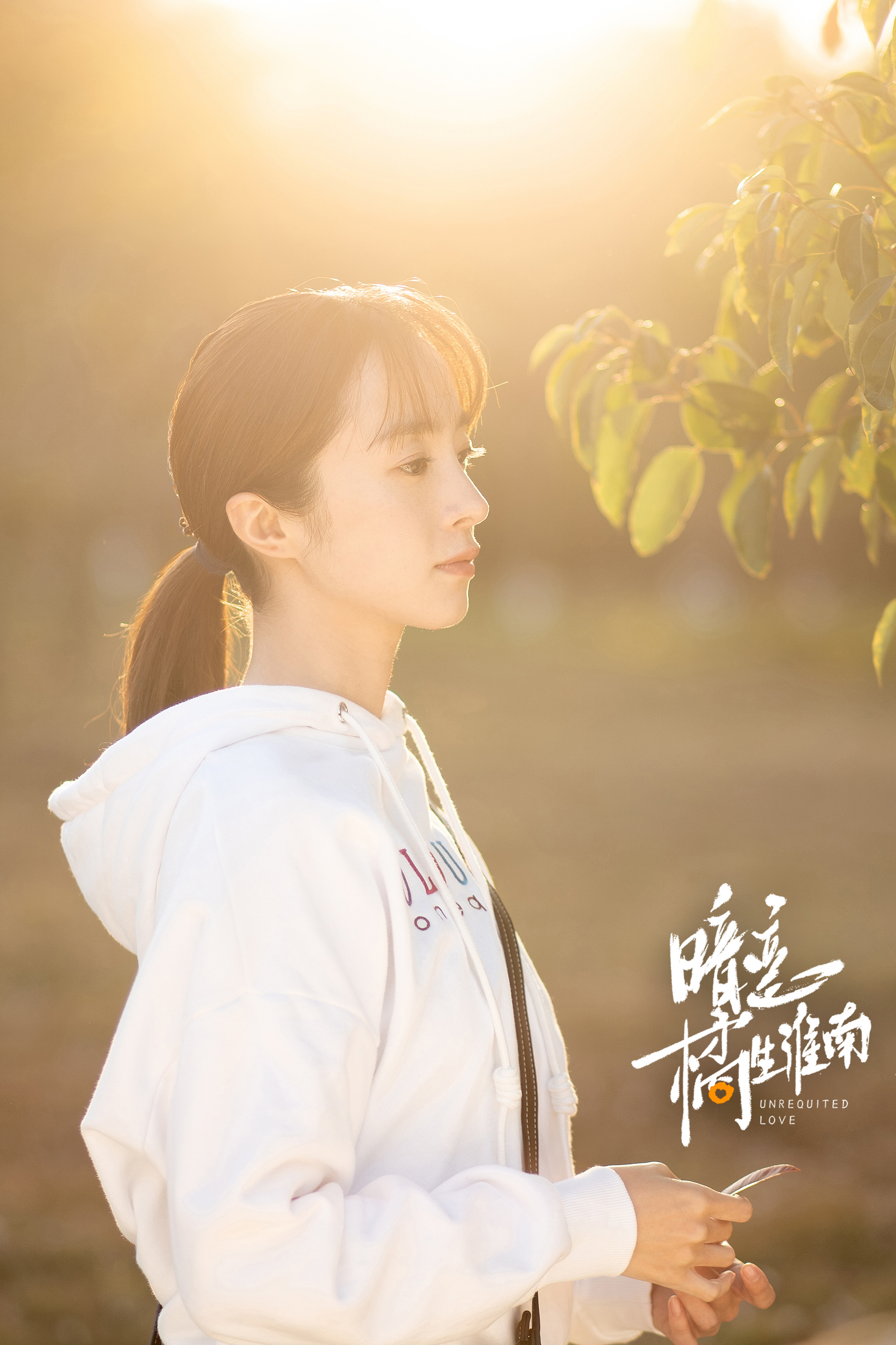 暗恋橘生淮南