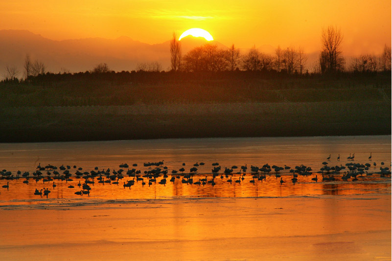 豫北黄河故道沼泽区