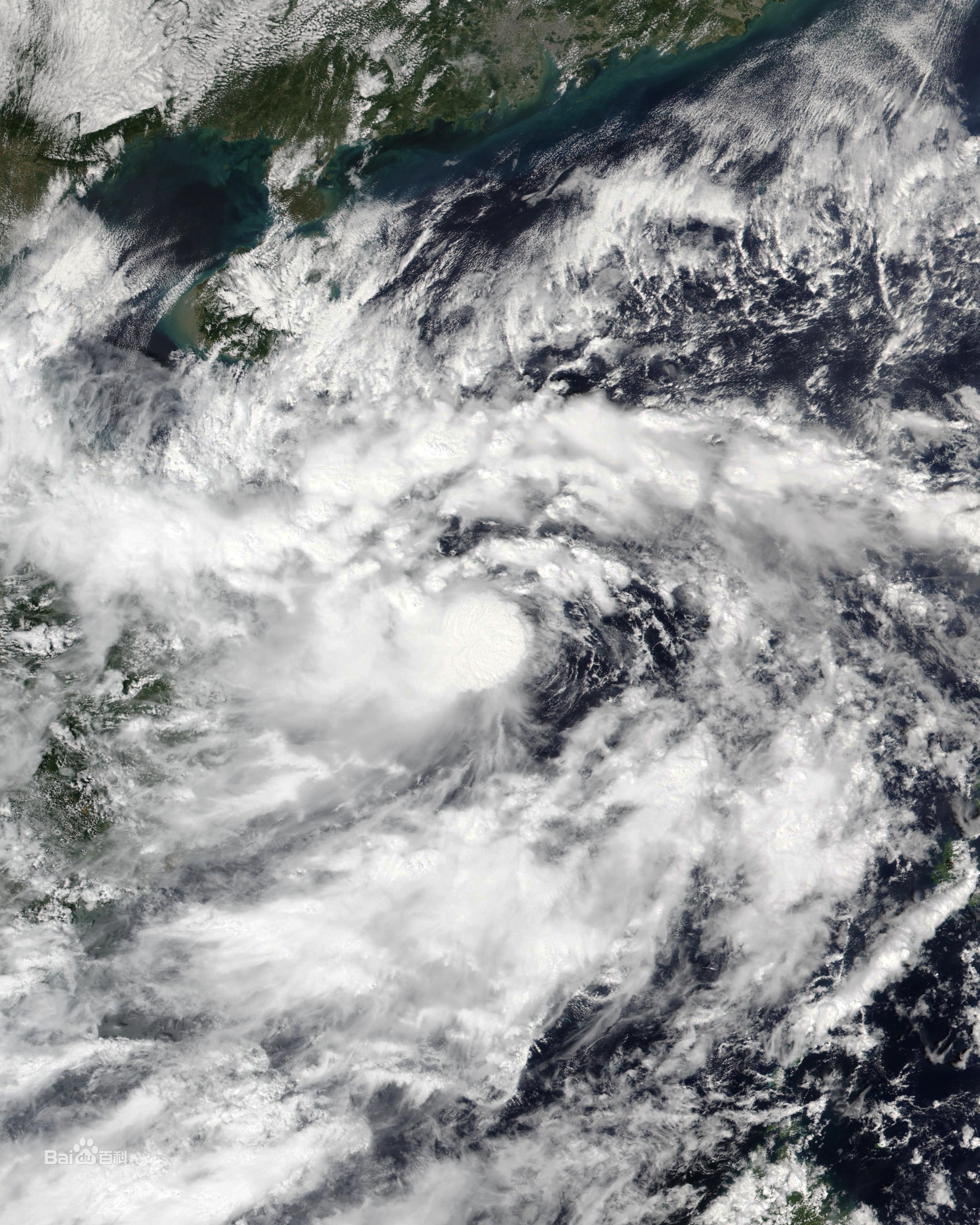 2020年太平洋台风季