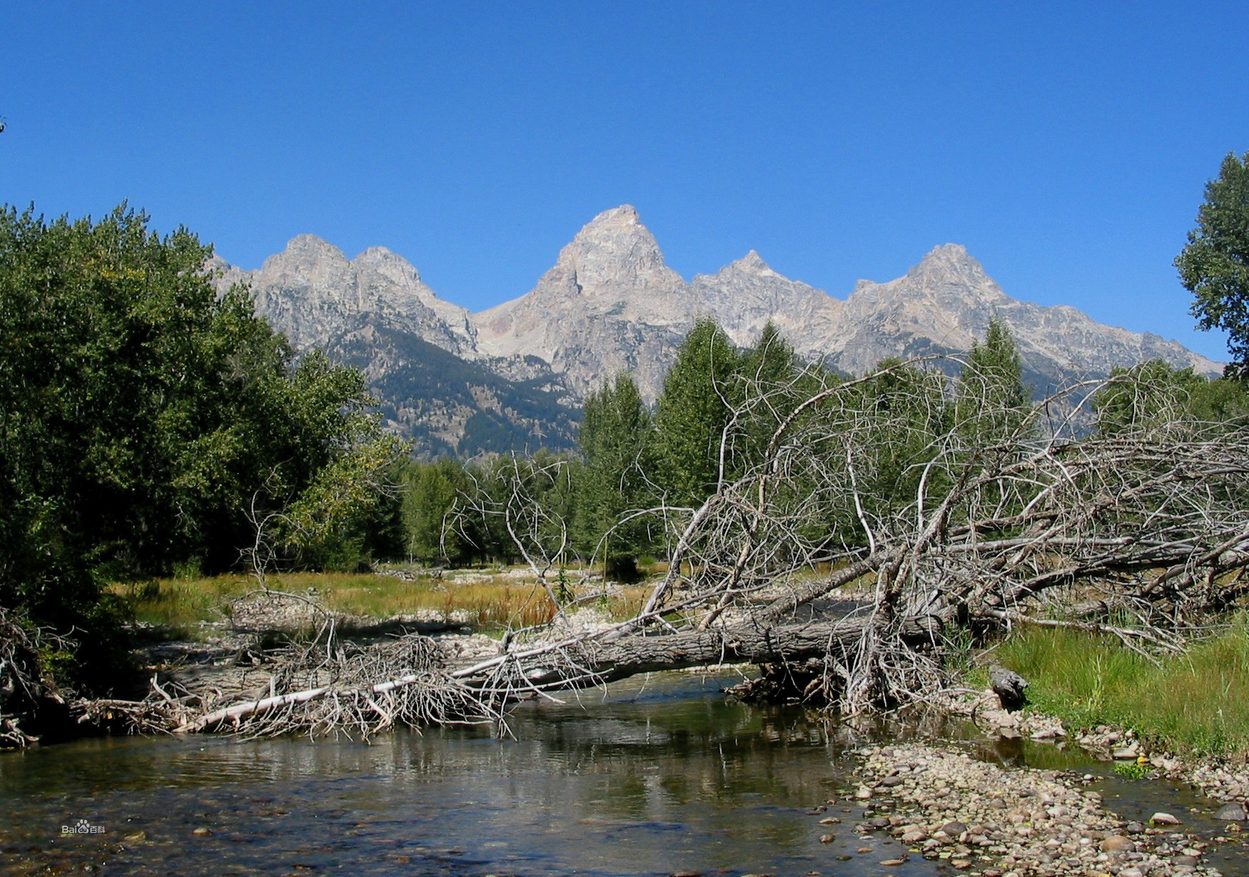 福兰德特国家公园