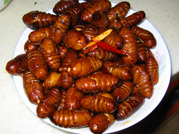 蚕蛹油炸