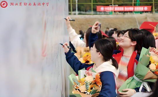 湖北省鄂南高级中学图片