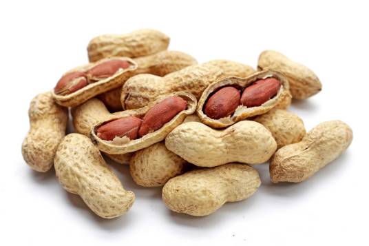 peanut（英语单词，名词，意为花生）_百度百科