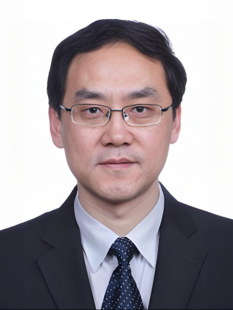 张兵（中国科学院院士，中国科学院空天信息创新研究院党委书记、副院长）_百度百科