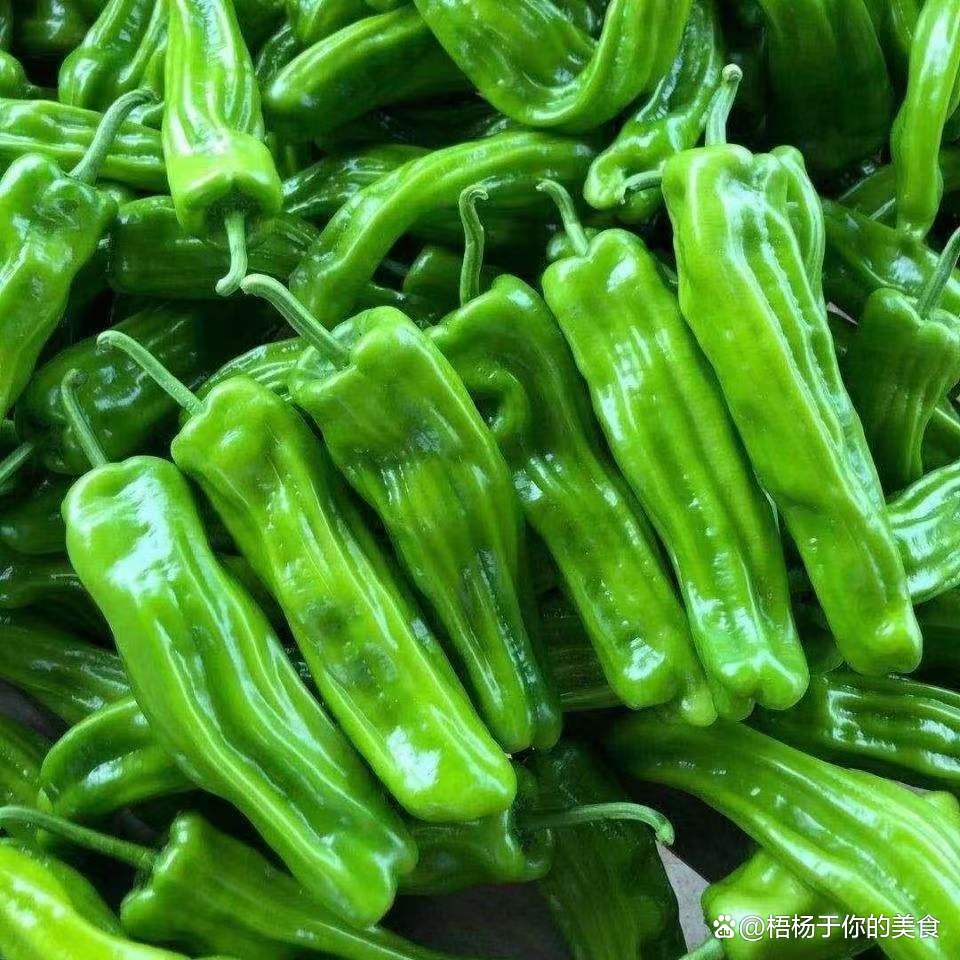 青椒，是一种有价值的蔬菜~_百科TA说
