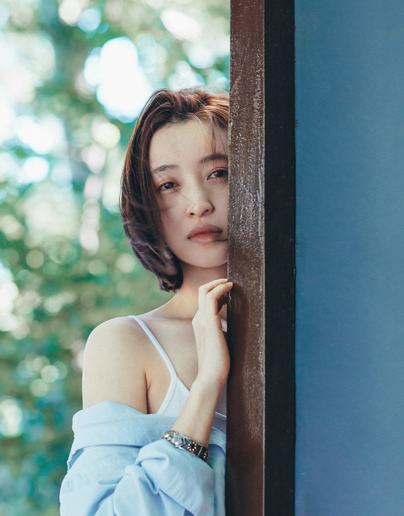 杨菲洋 全网资源