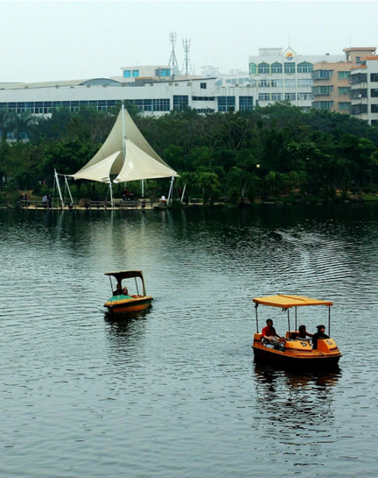  p data-id="gnx4odpr90">霞湖公园位于广东省湛江市 a target="