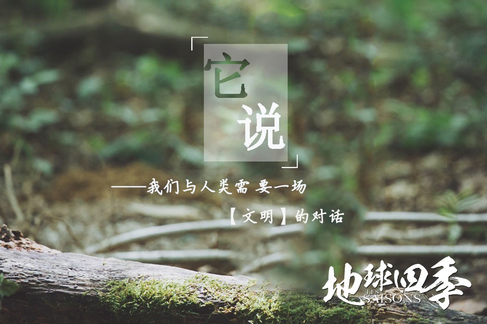  p>《地球四季》是由法国盖拉特电影公司制作的纪录片,由法国导演雅克